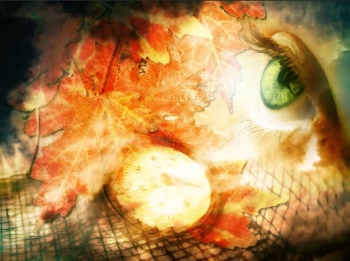 autumn